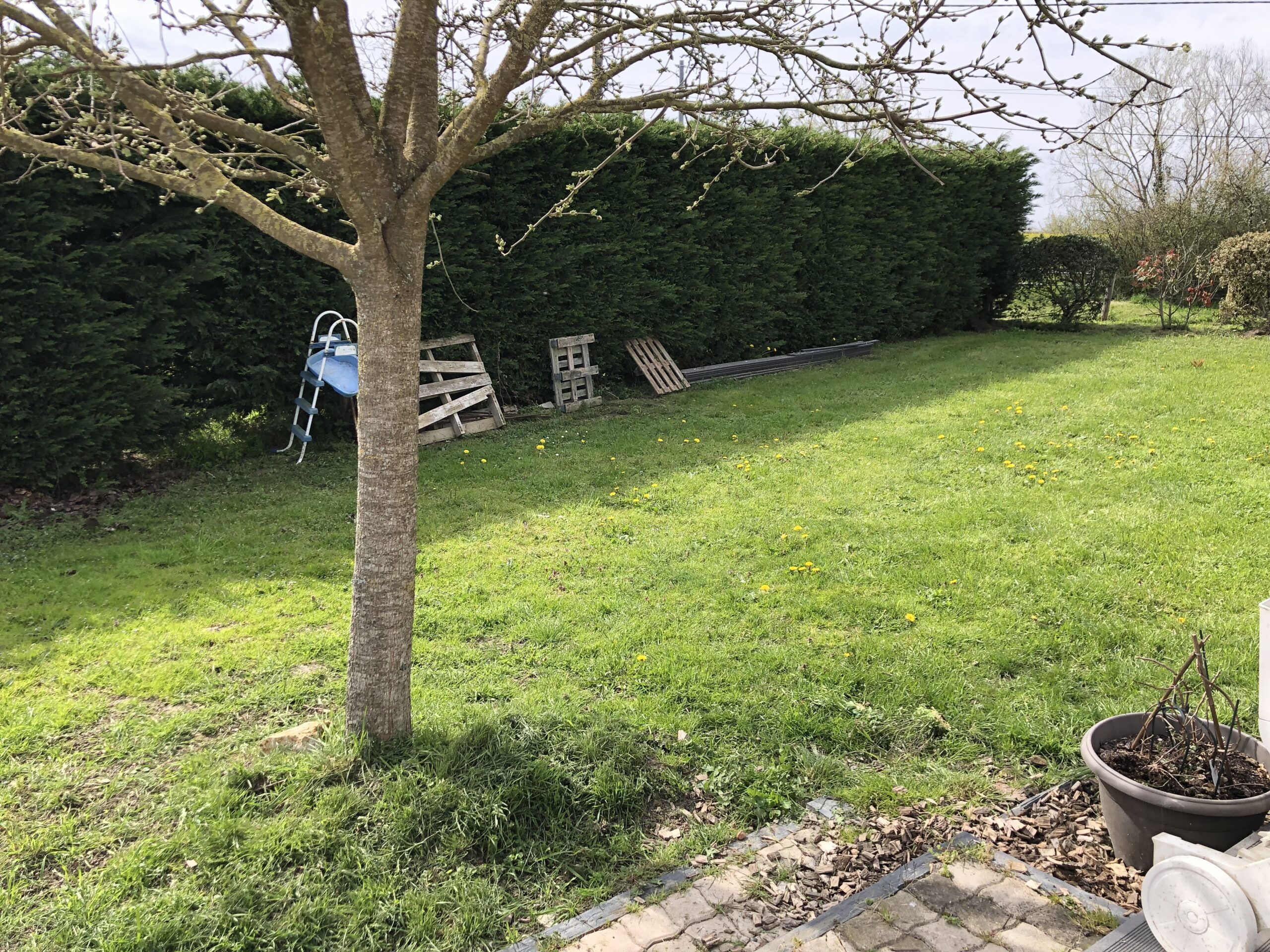 Amenagement extérieur 2000 m2 proche du Lion d'Angers