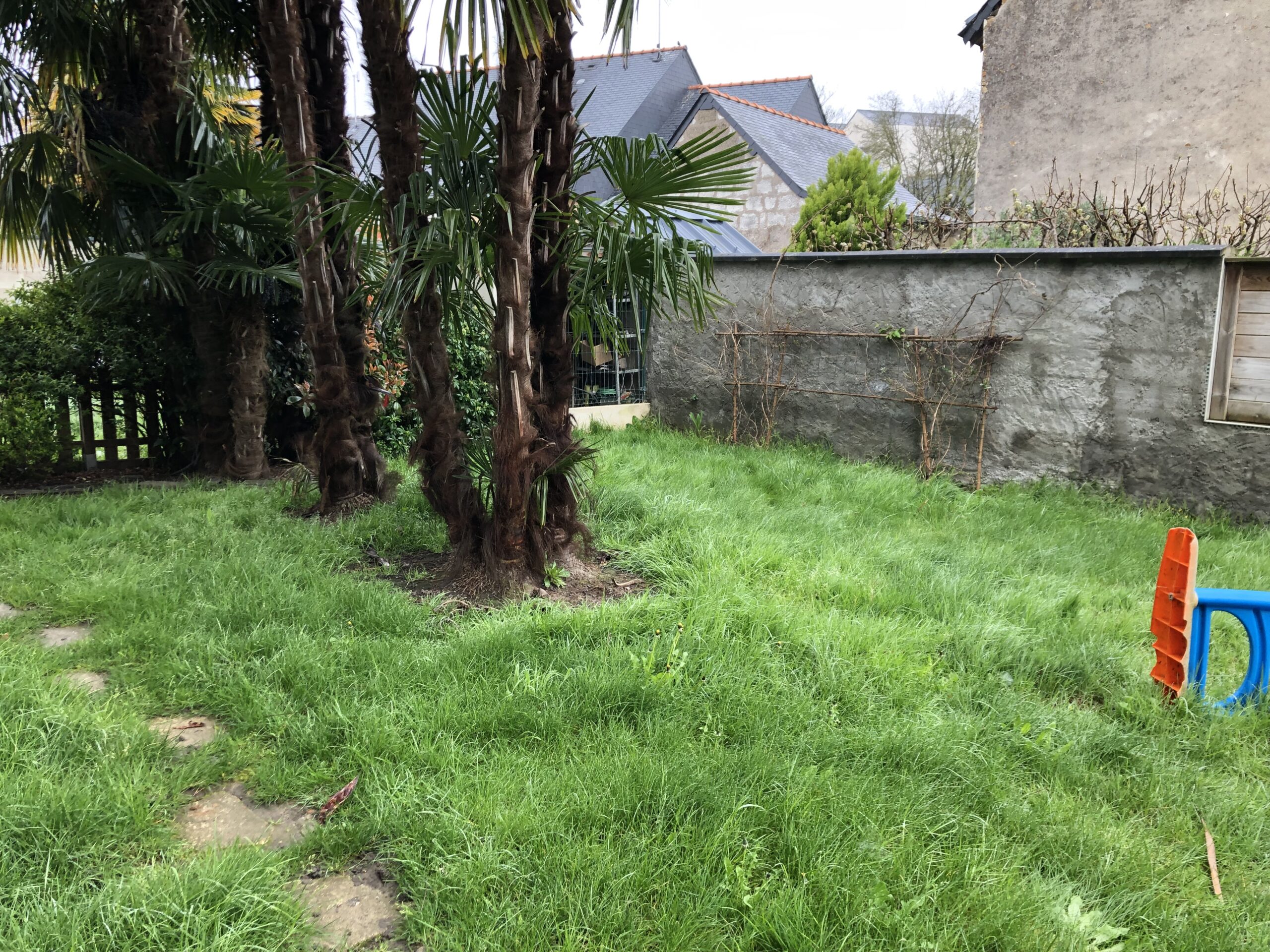 Conception d'un jardin 3D au Lion d'Angers