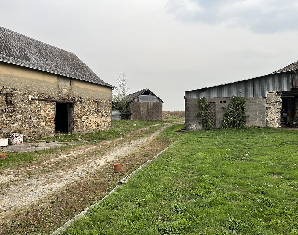 conception piscine amenagement abords lion d'angers avant