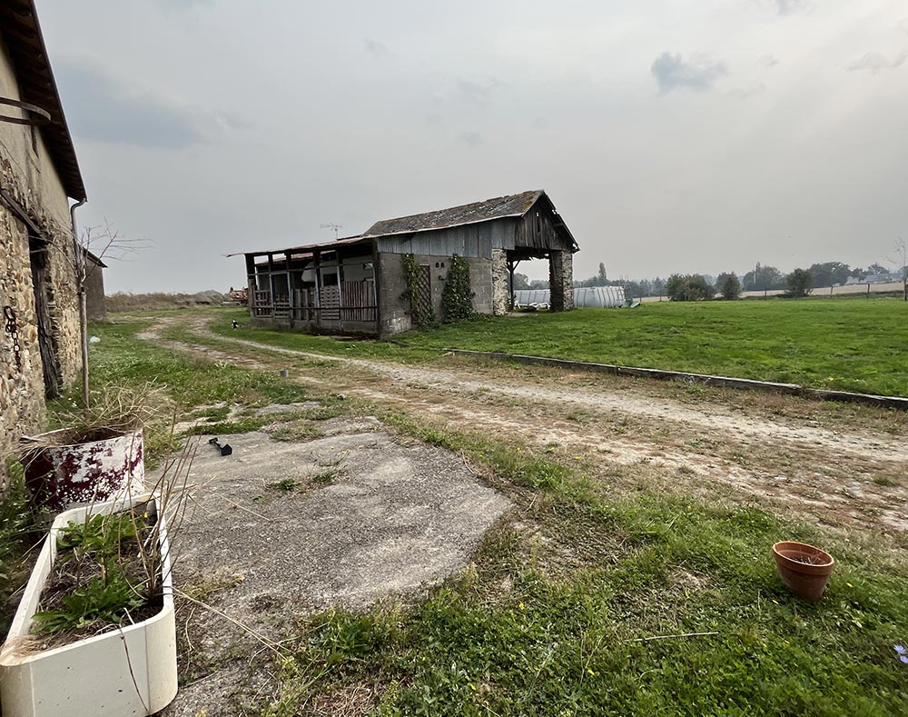 conception piscine amenagement abords lion d'angers avant