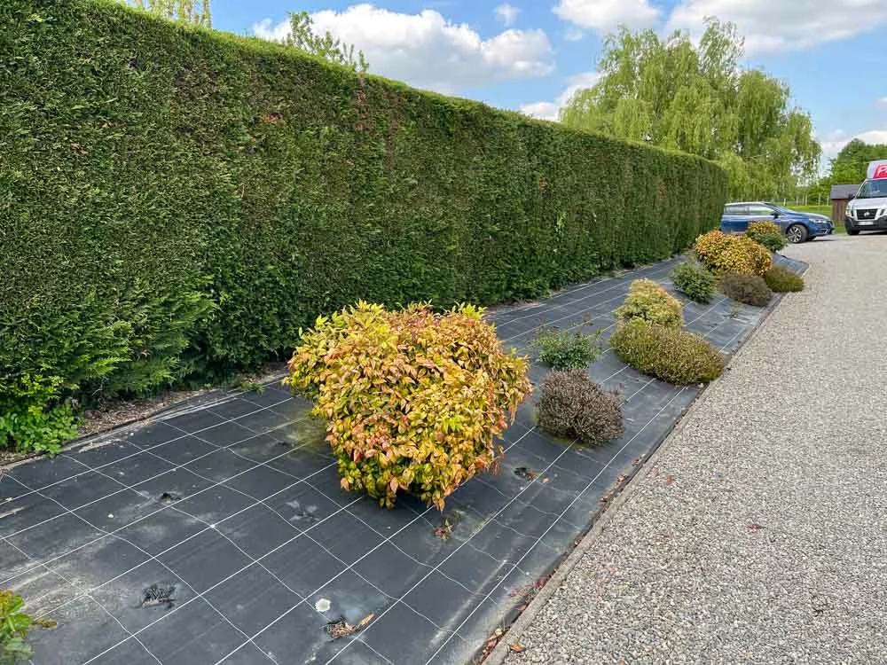 Conception de jardin près du Lion d'Angers